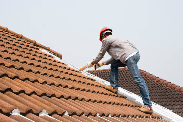 Best Roof Moss and Algae Removal  in Independence, IA